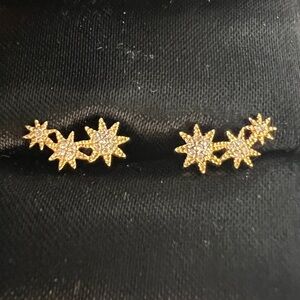Pave Diamond and 14k gold earring